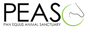 PEAS Logo