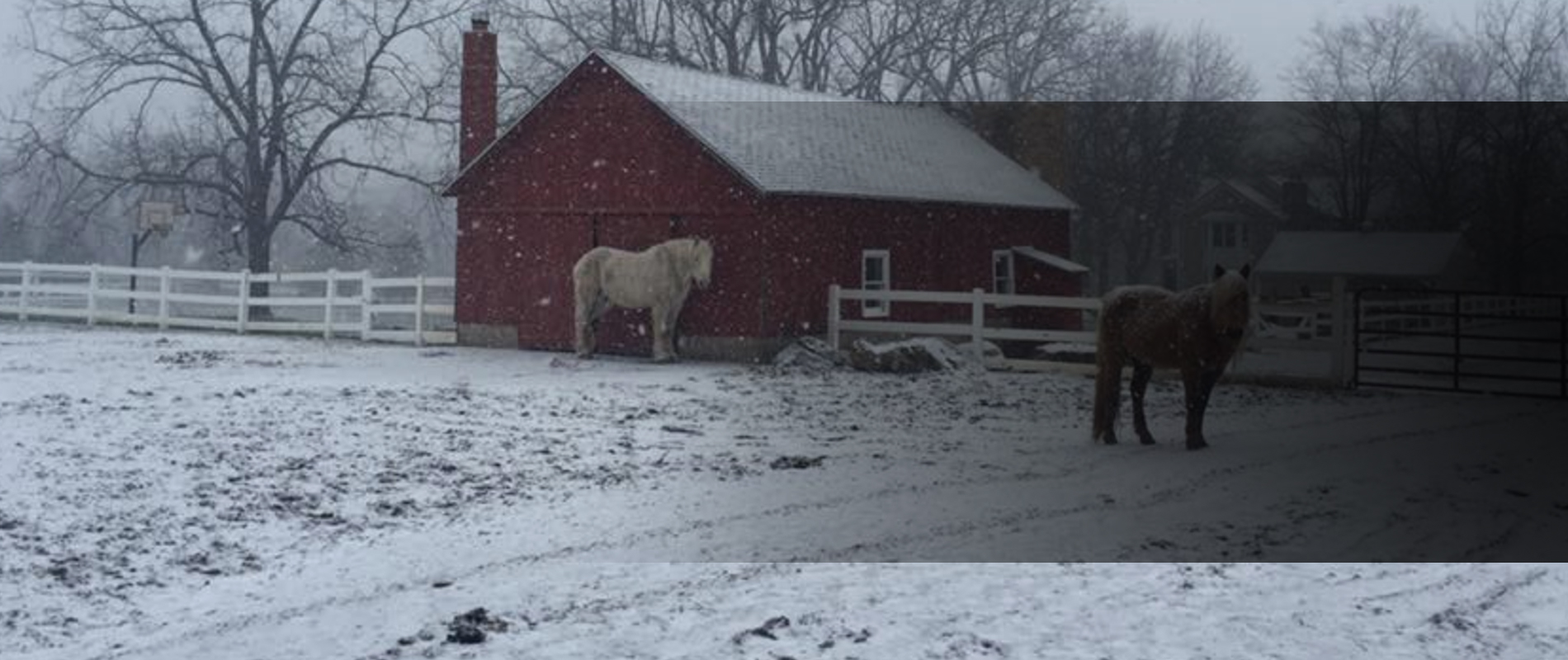 Snowy Farm Background